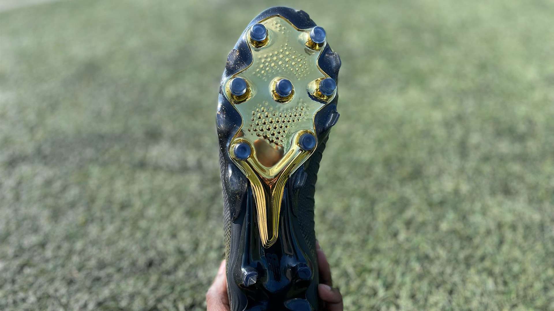 尔的重视也 尔的重视也