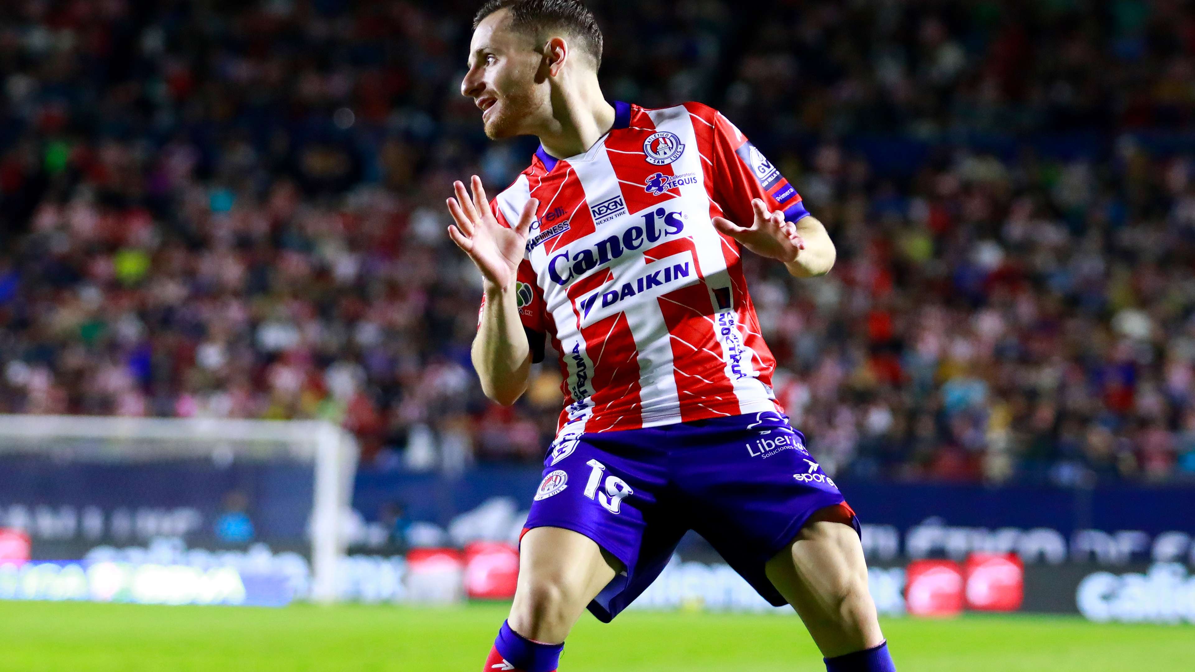 球迷的期望 球迷的期望